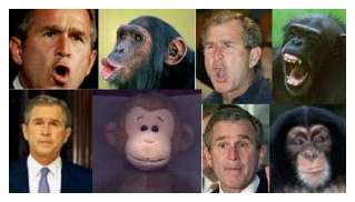 Is there a resemblence?